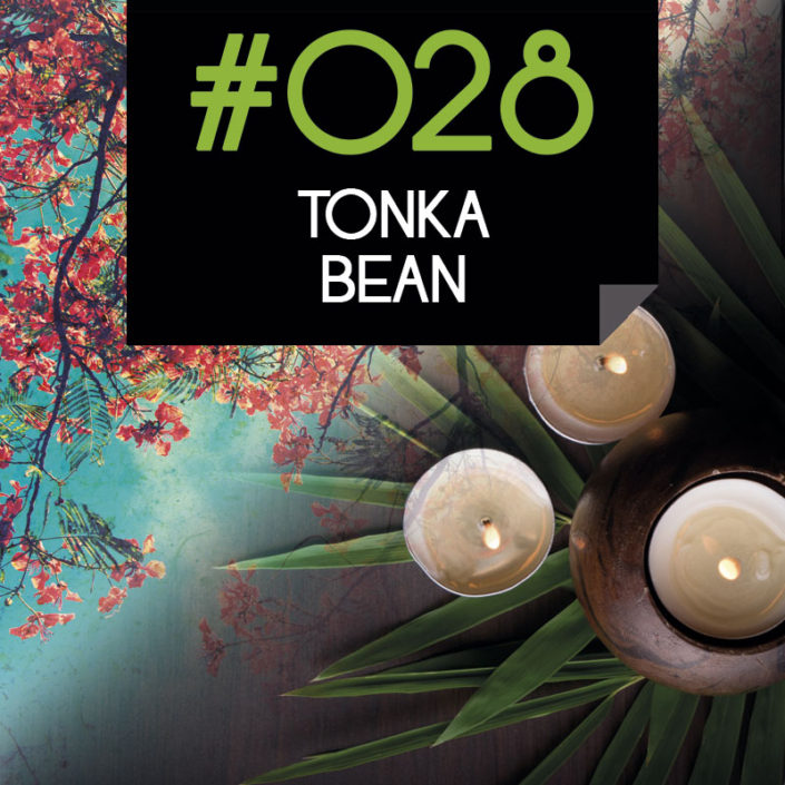 028 Tonka Bean