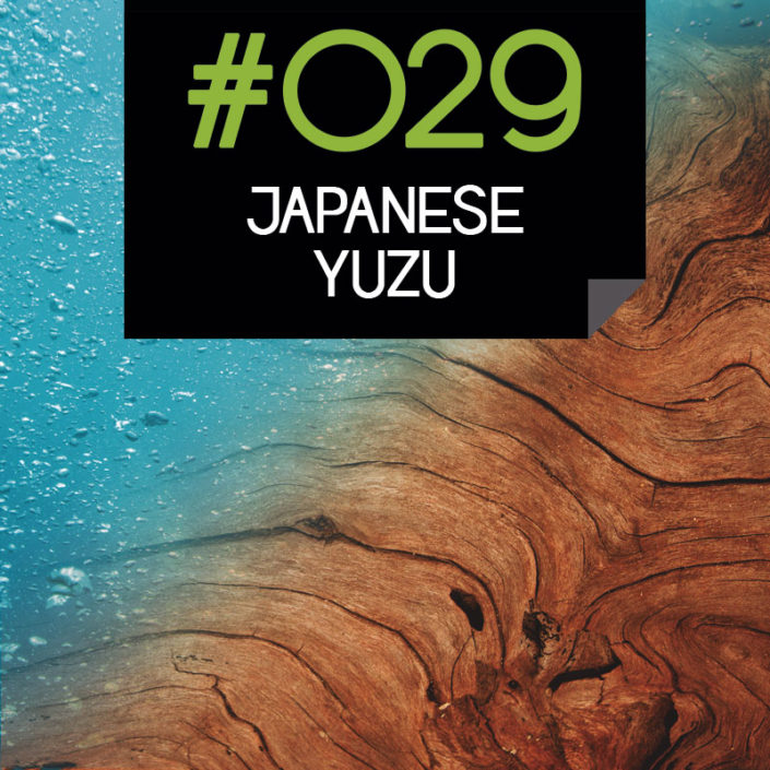 029 Japanese Yuzu