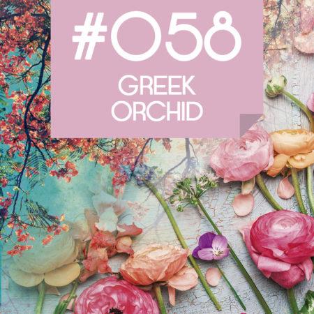 058 Greek Orchid