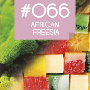 066 African Fresia