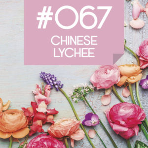 067 Chinese Lychee