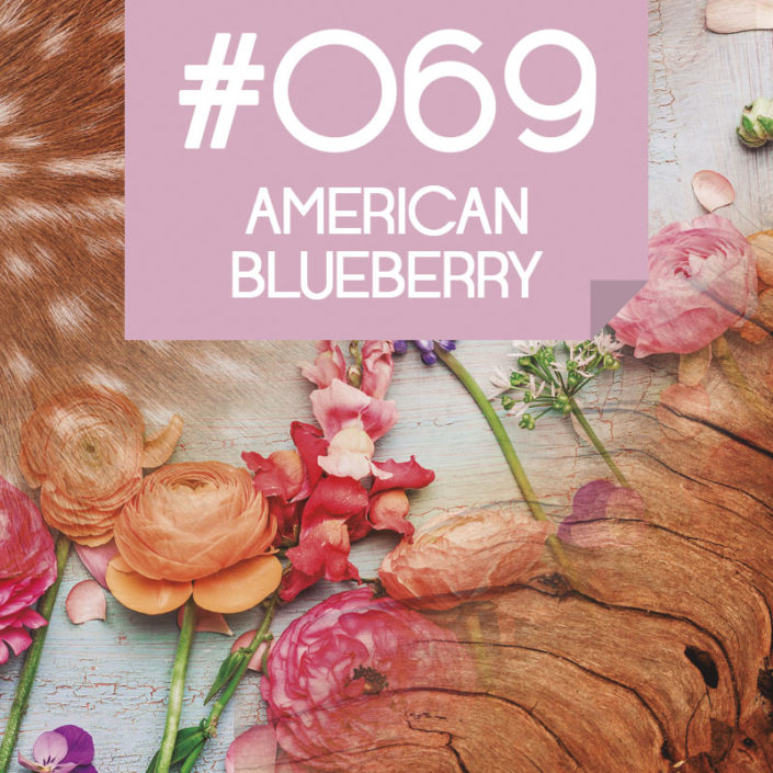 069 American Blueberry