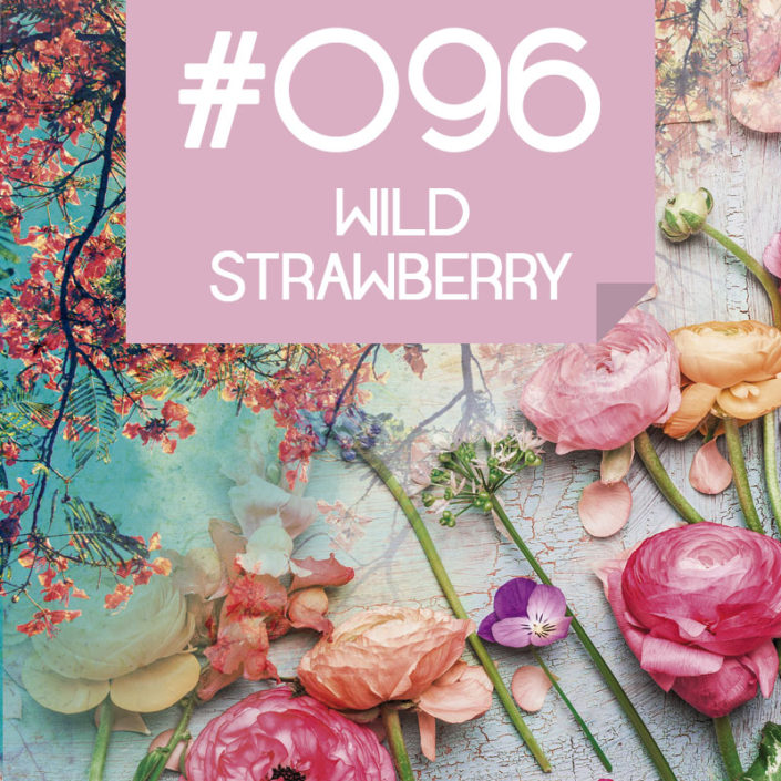 096 Wild Strawberry