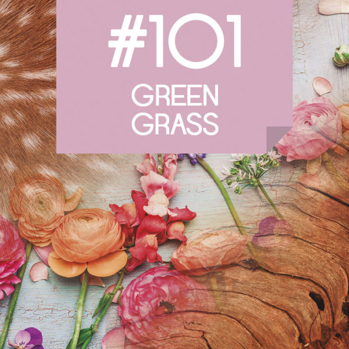 101 Green Grass