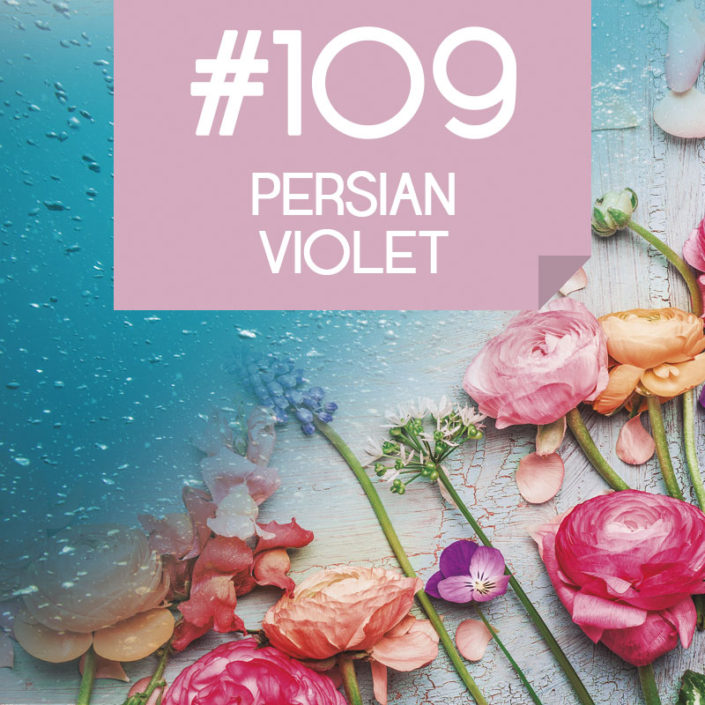 109 Persian Violet