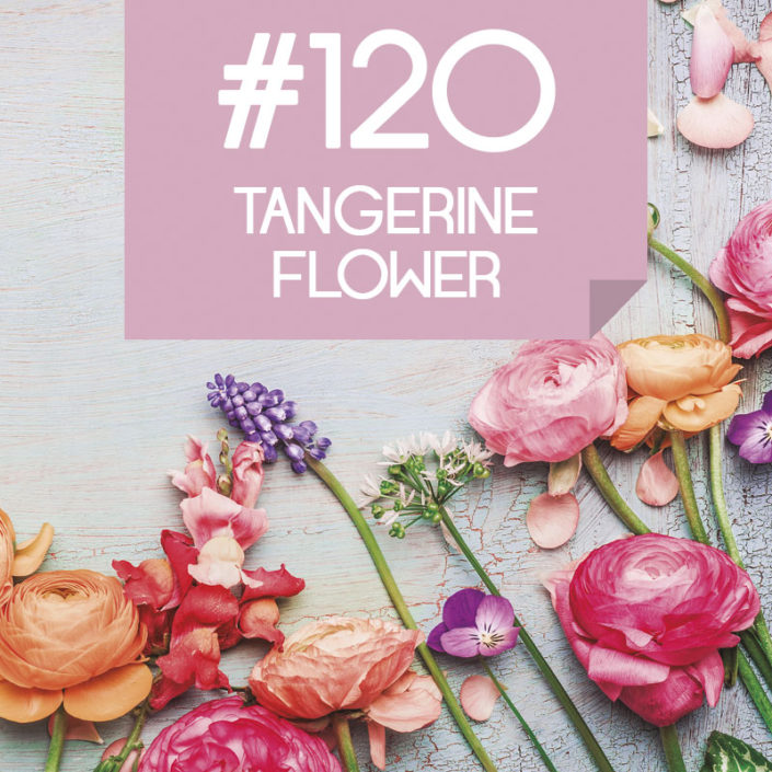 120 Tangerine Flower