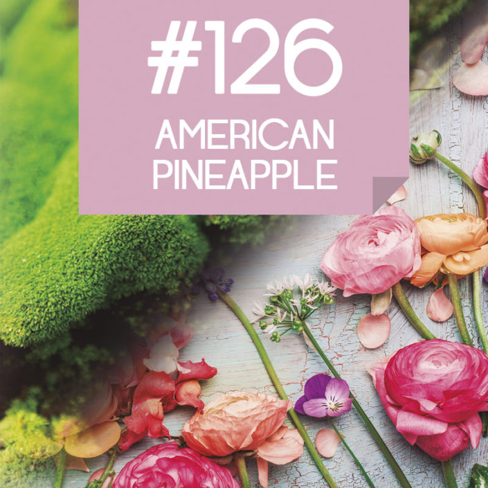 126 American Pineapple