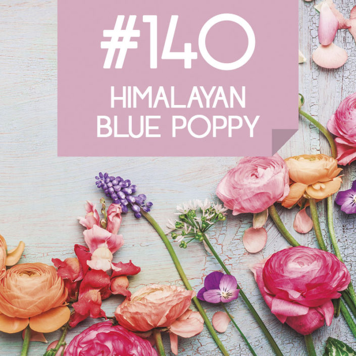 140 Himalayan Blue Poppy