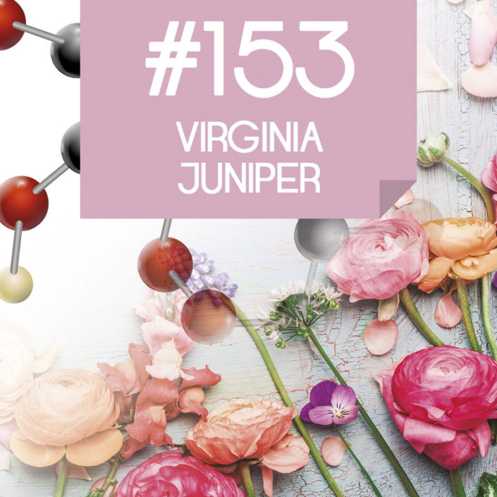 153 Virginia Juniper