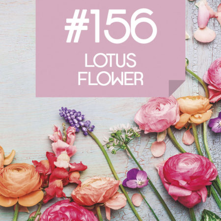 156 Lotus Flower