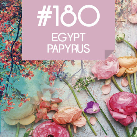 180 Egypt Papyrus