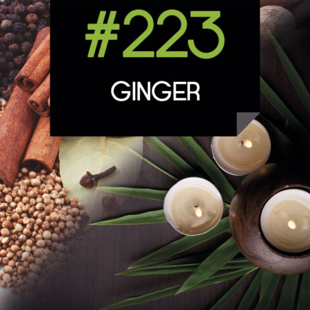 223 Ginger