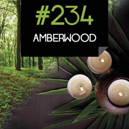 234 Amberwood